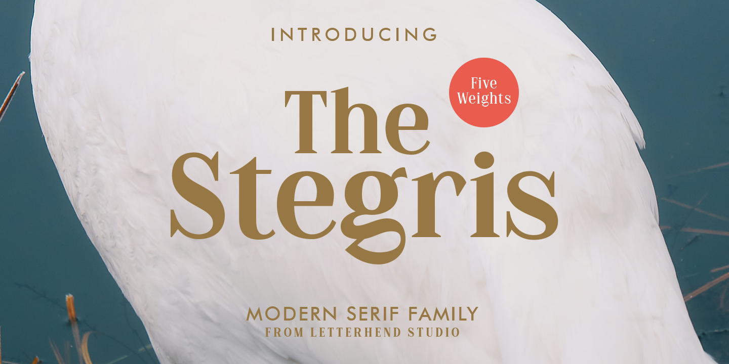 Font The Stegris